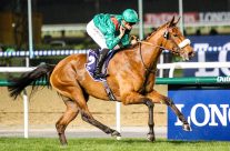 Dolniya – Sheema Classic Group 1