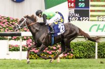 Variety Club – Hong Kong Champions Mile Group 1